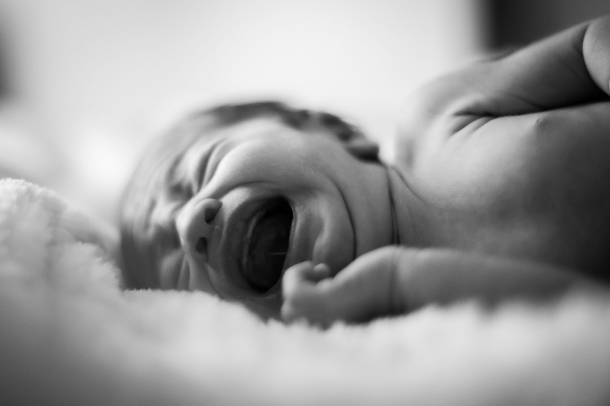 Maternidade Reborn: afeto, perda e o realismo.