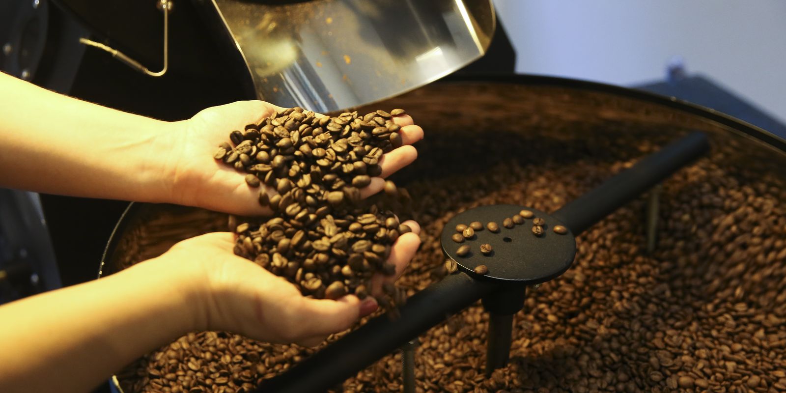Setor cafeeiro pode ser forçado a redirecionar produção, diz Cepea/USP