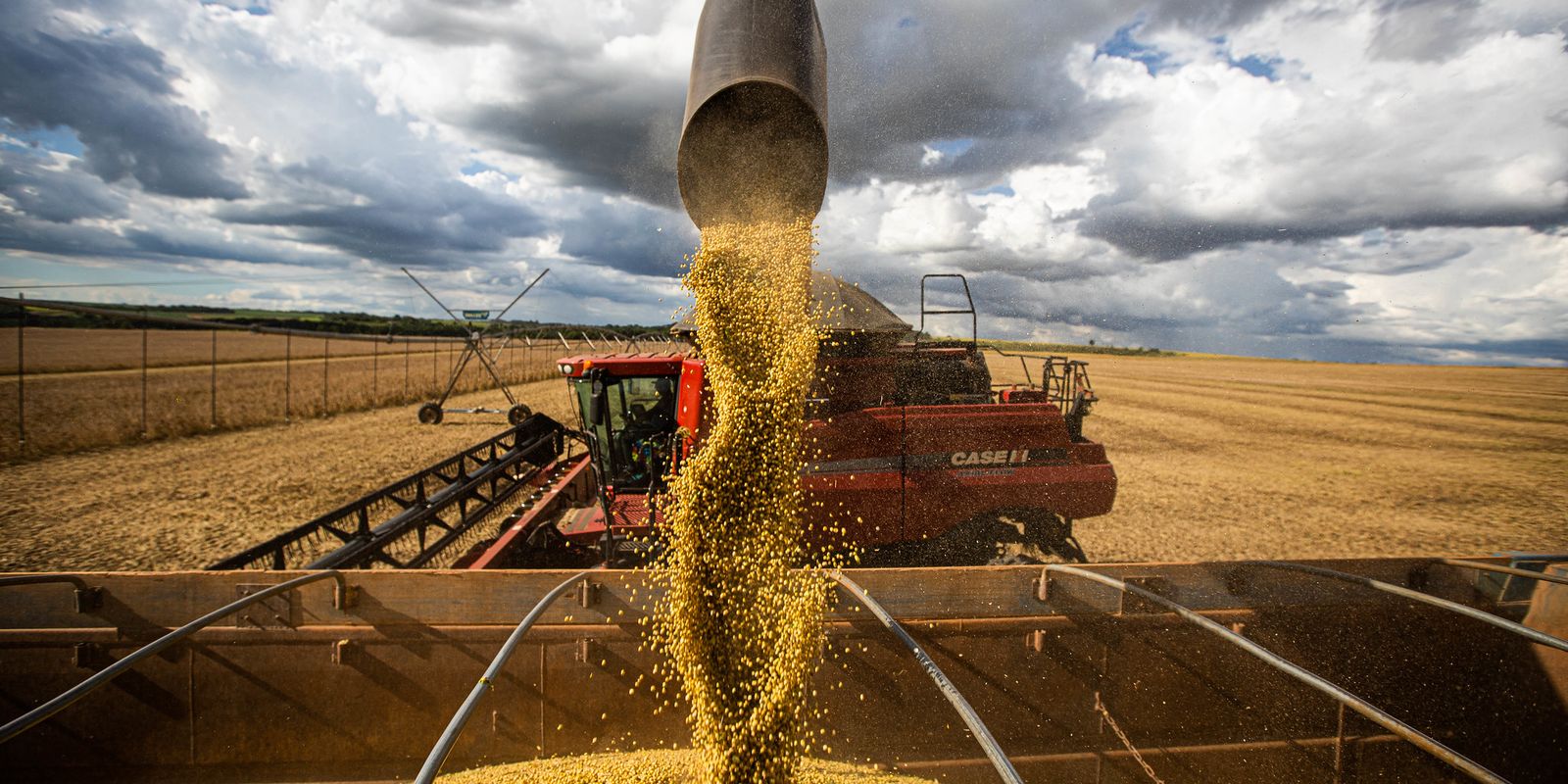 Queda no preço dos alimentos vai permanecer, diz ministro