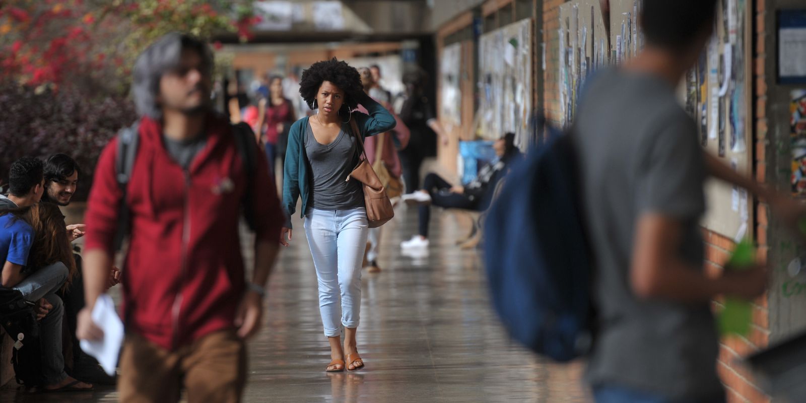 Inscrições para o Pé-de-Meia Licenciaturas começam dia 17 de fevereiro