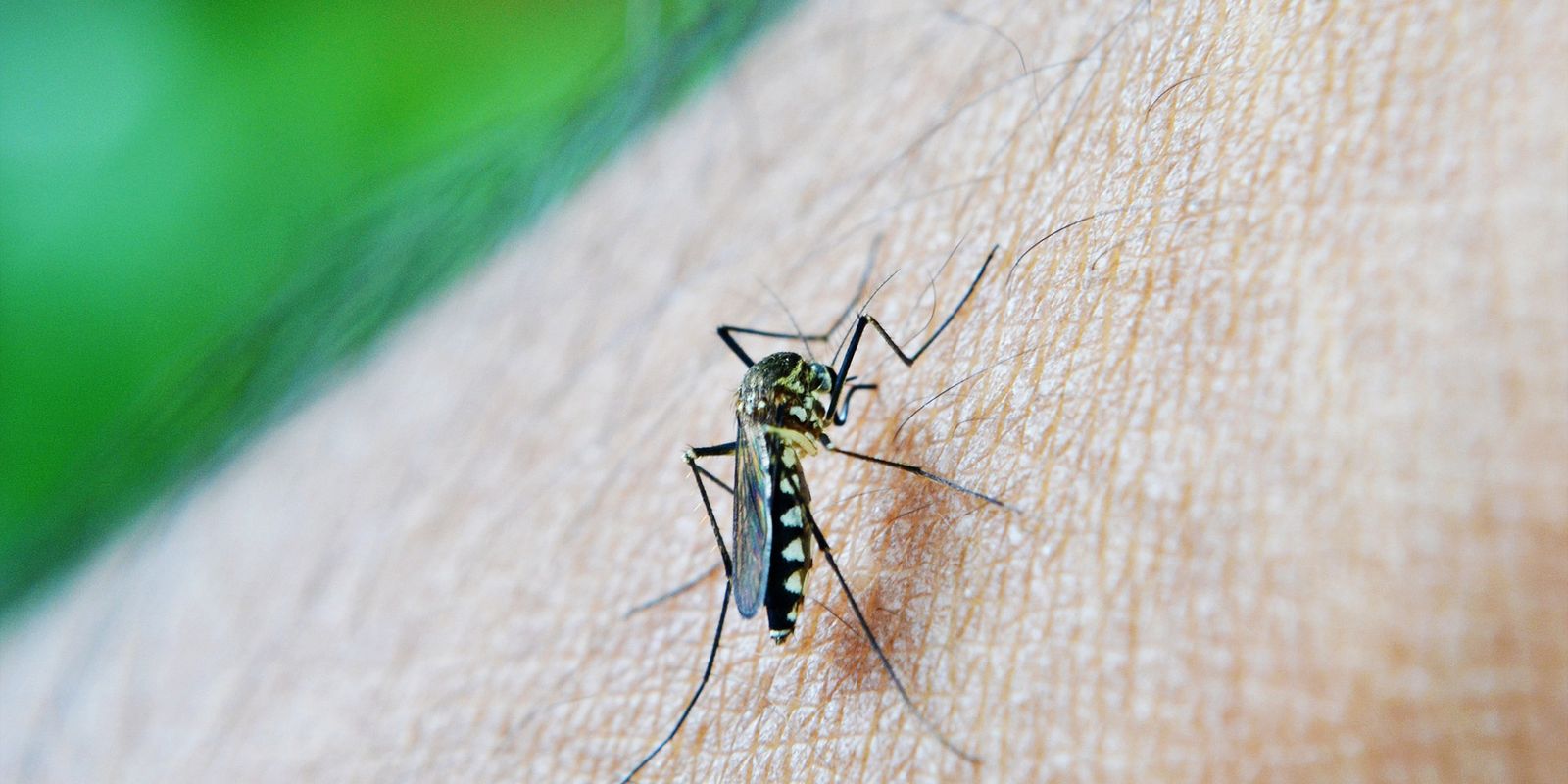 Estudo alerta para relação da dengue com a Síndrome de Guillain-Barré